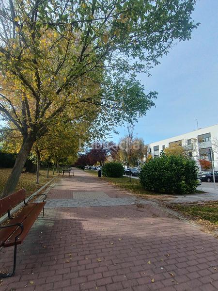 Foto ecc6e00f-93a1-4df9-bf27-e35070b9f30d. Appartamento con riscaldamento in Aeropuerto Madrid