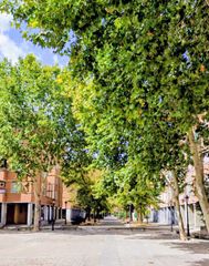 Pis a Reyes Católicos. Piso de 2 dormitorios en planta baja en alcalá de henares