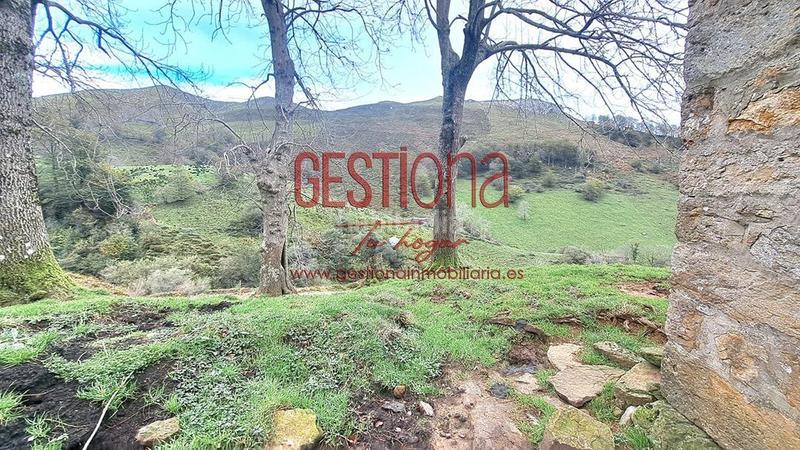 Foto 8a70a29a-2937-4952-a699-9a081c820231. Haus in Soba