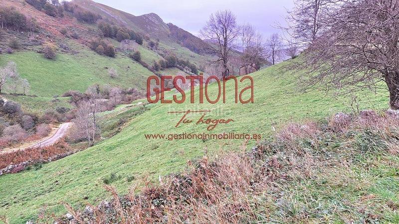 Foto b656bdb0-ed49-43cf-b113-a0b4cabae0cf. Haus in Soba