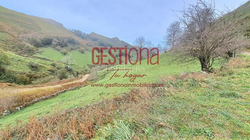 Foto f08aed6b-ce12-4375-8e9f-e6f6d15b194b. Haus in Soba