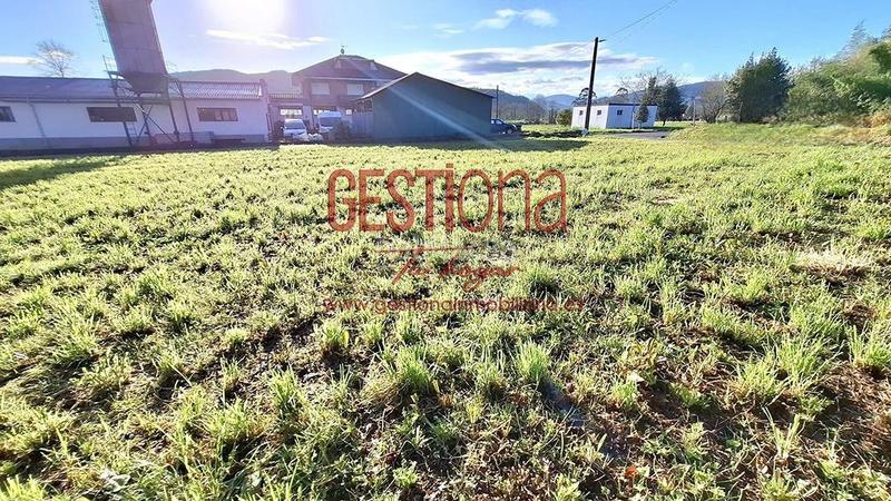 Foto 8af4f5be-0451-4088-a7a5-6cd956bc83dd. Finca rústica a Renedo Piélagos