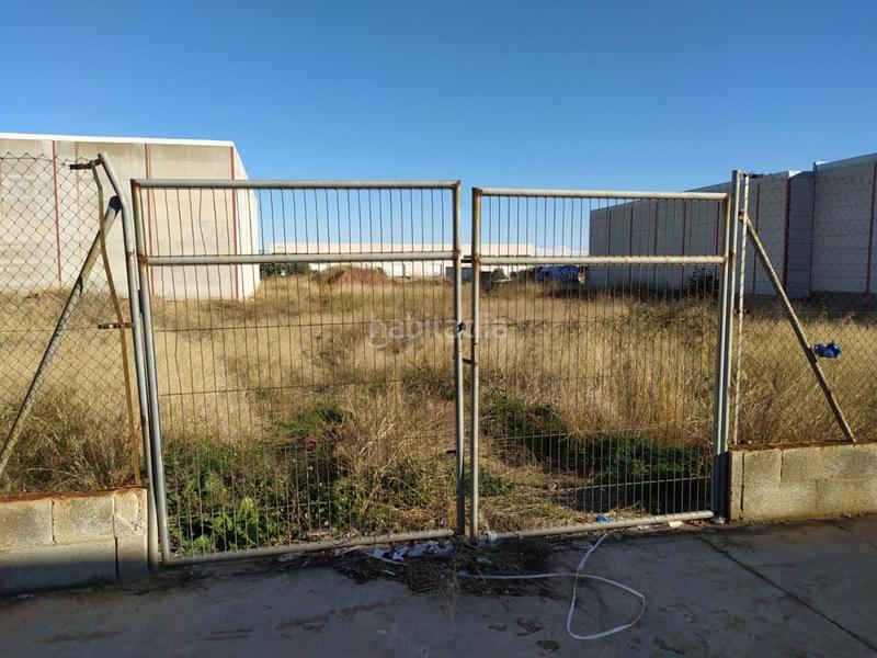 Foto 7b47fe57-76e8-4076-af5a-0ee019b01fe4. Terrain résidentiel dans Alqueries (Les) / Alquerías del Niño Perdido