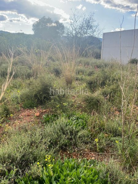 Foto b0431616-aa73-4148-a8f2-b17e8361bfb9. Residential plot in Betxí