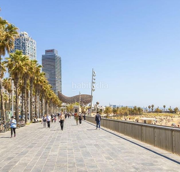 Foto 39422451-1e6b-49e9-8be4-8a30b9a0fff4. Pis a Barceloneta Barcelona