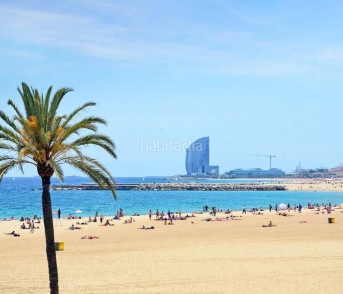 Foto 5e01a987-6090-49eb-bbf1-656dfa6636e5. Pis a Barceloneta Barcelona