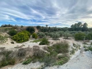 Terreny residencial a Albaida. Venta de parcela albaidavalencia