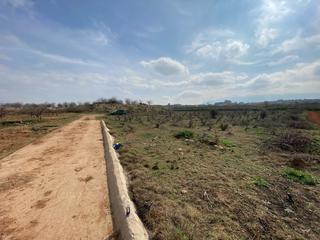 Terreny residencial a Montaverner. Venta terreno de secano en montavernervalencia