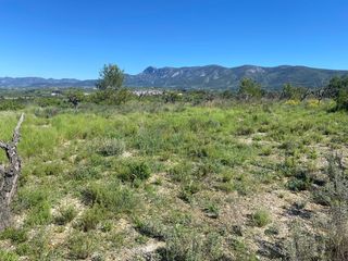 Rural plot in Palomar. Venta finca rustica en el palomar