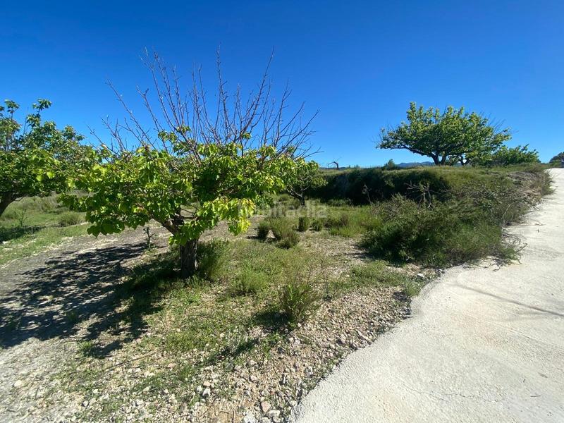 Foto 28291156-d372-436c-9d39-f283b275ee58. Rural plot in Palomar