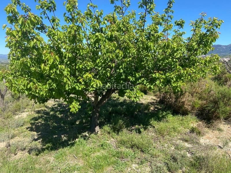 Foto 3b85c1bf-812b-4891-be9a-2818c2b5caaf. Rural plot in Palomar