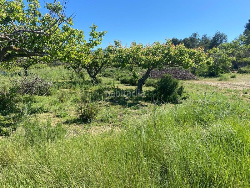 Foto 7d31b258-a379-4282-8539-003c3ad85378. Finca rústica a Palomar