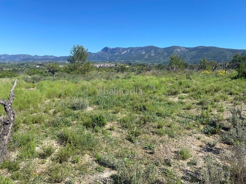 Foto 89350ec3-5ed0-4d28-8829-75c16510d196. Rural plot in Palomar