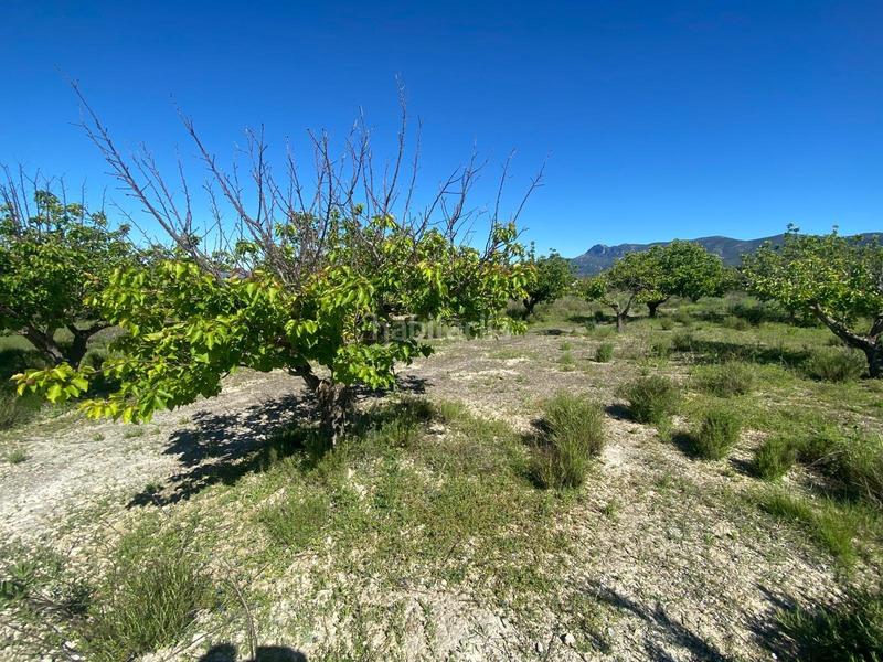 Foto baff28d2-8aa5-4347-9822-0e34f071cb17. Rural plot in Palomar