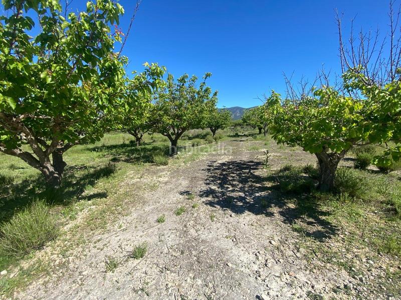 Foto c4f503f5-261b-4e62-9aeb-bb12edb0adbc. Rural plot in Palomar