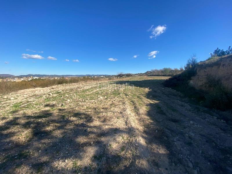 Foto 2f79dac4-55e3-4311-8958-9c1bb54f885b. Terrain résidentiel dans Albaida
