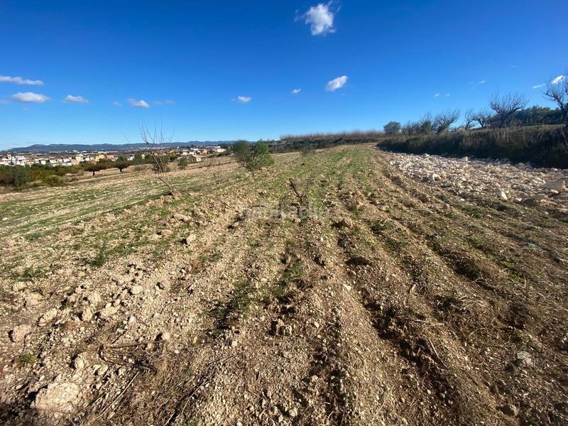 Foto 70367b8f-d706-4483-b200-3f535eaa481d. Terrain résidentiel dans Albaida