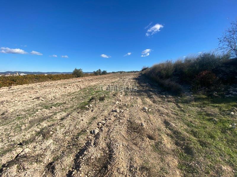 Foto 89f5c6ec-6343-4442-8775-5c9ff1cce412. Terrain résidentiel dans Albaida