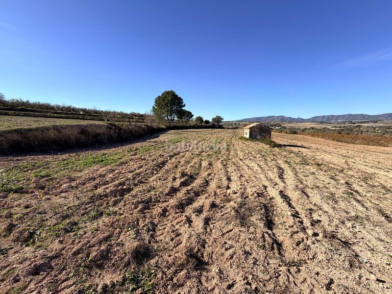 Foto be84bf8c-80b8-4656-a141-6096c743160e. Terrain résidentiel dans Albaida