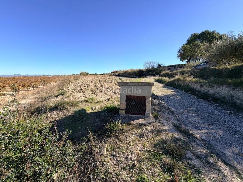 Foto cbe05608-7c00-430d-872e-afad4f780075. Terrain résidentiel dans Albaida