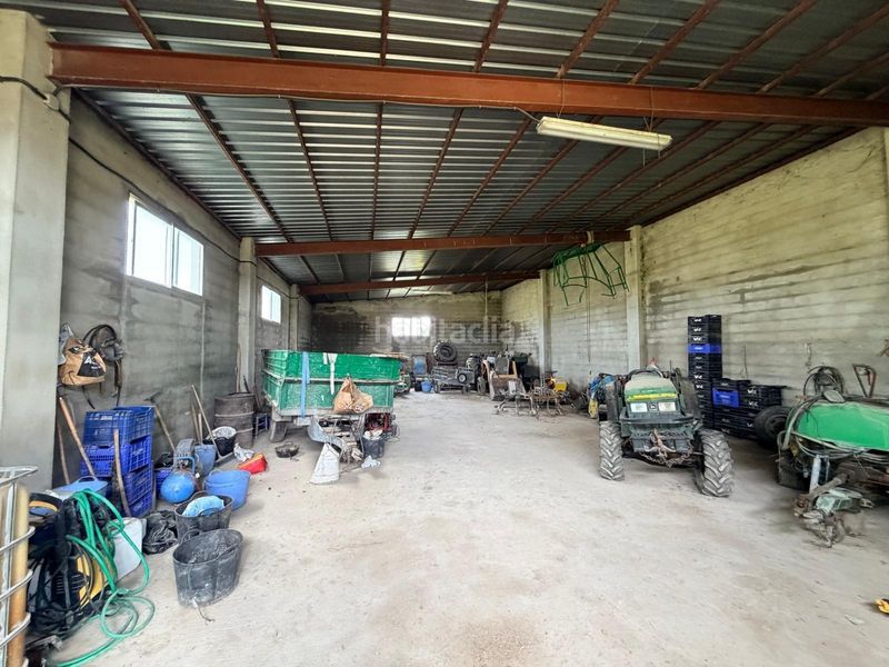 Foto 1485b17c-da32-4552-943b-a0f74686a00e. Terreny residencial a Albaida