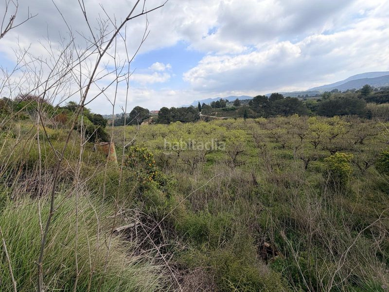 Foto adcd90f2-fbf7-44a3-ae7c-11b4ba6cb269. Terreny residencial a Benisoda