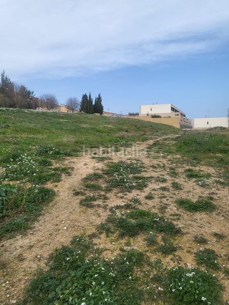 Foto e8edd346-6d1c-47a1-8ec0-1122cc8b1cfe. Terreny residencial a Albaida