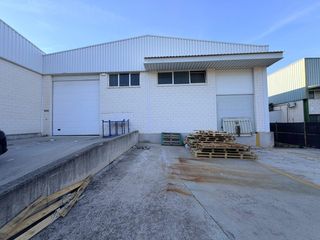Affitto Capannone industriale in Benisoda