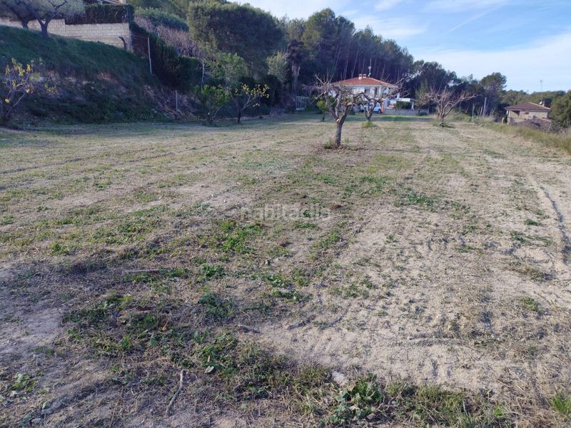 Foto 0f5843a8-41c3-447d-aaa1-7208d8c5c10e. Terreny residencial a Agullent