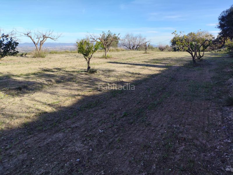 Foto 18afdfaf-a238-4850-b417-056f16f218cf. Terreny residencial a Agullent