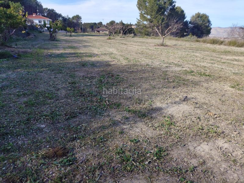 Foto 6a44930f-1ead-4ec3-bf27-447688e78483. Terreny residencial a Agullent