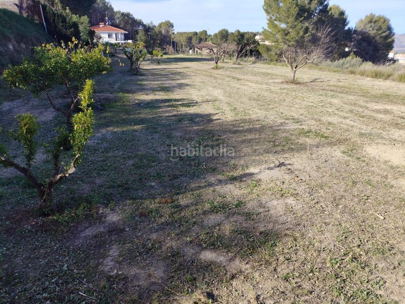 Foto 73f41f41-2101-419d-9e8f-10b46ed76e3a. Terreny residencial a Agullent