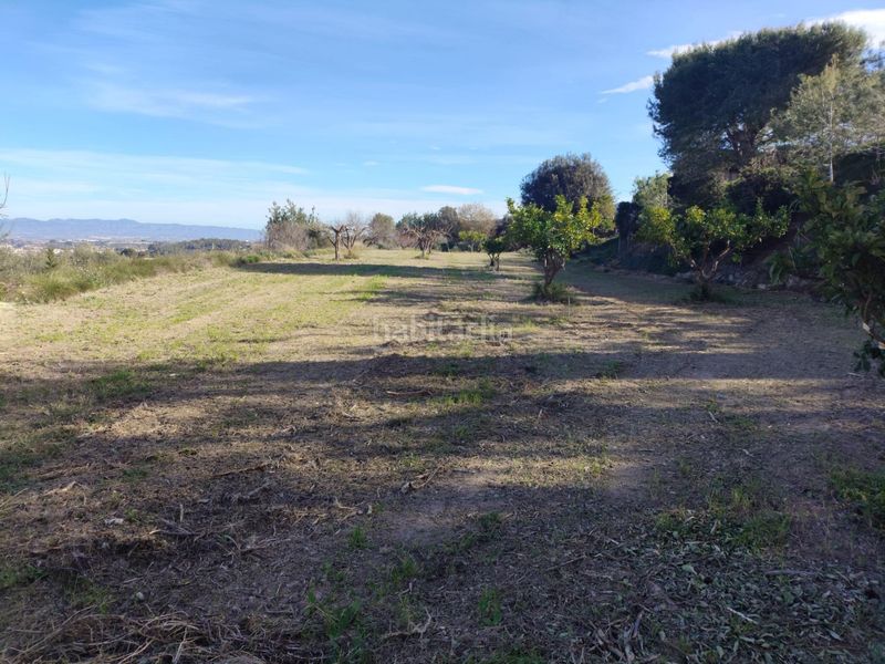 Foto b93da4be-16e3-41b6-af28-43e784055521. Terreny residencial a Agullent