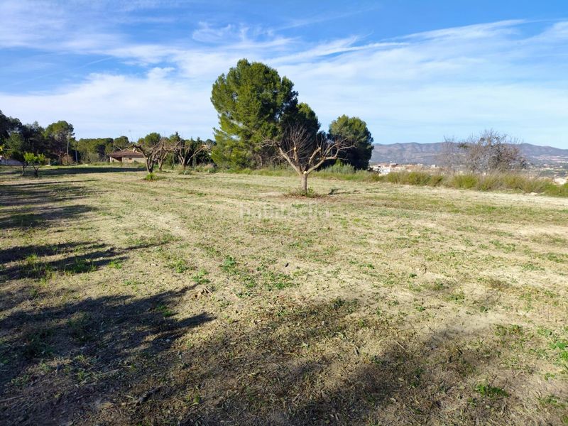 Foto d08b66d8-598d-491b-a4d2-160df257250e. Terreny residencial a Agullent