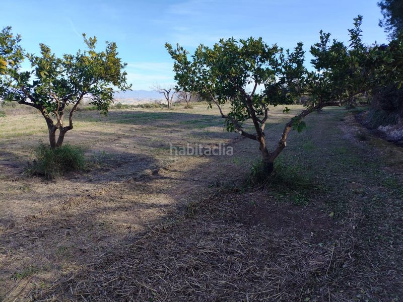 Foto e8f4bc8b-919d-4396-ba56-b6ac997ce893. Terreny residencial a Agullent