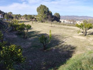 Terreno residencial en Agullent