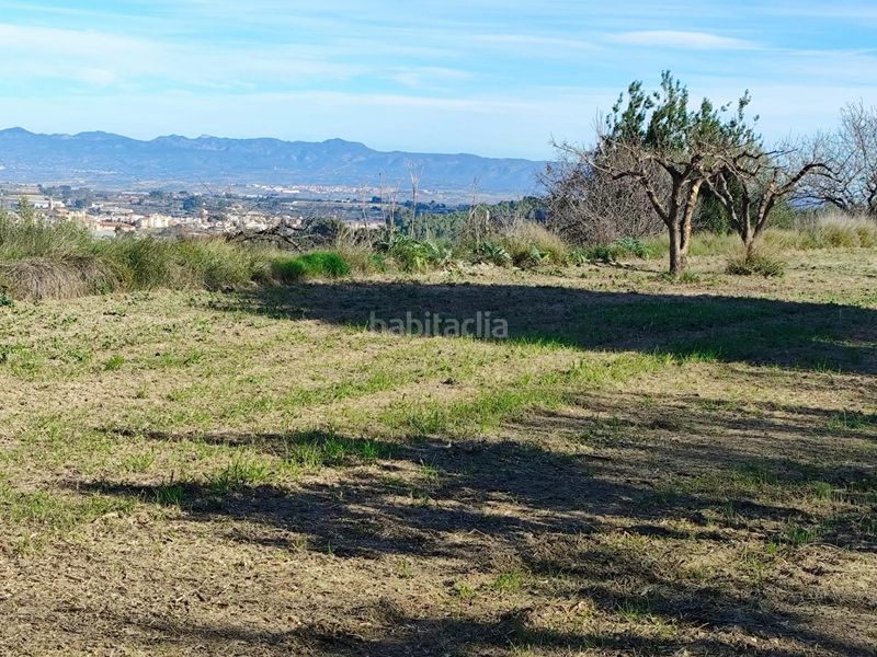 Foto fcdf9cb7-fafa-43fa-a64a-6daf41bb5b2c. Terreny residencial a Agullent