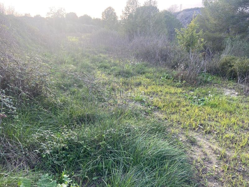 Foto 7fb279d0-ea5e-4929-aa32-269ba71dce21. Terreny residencial a Albaida