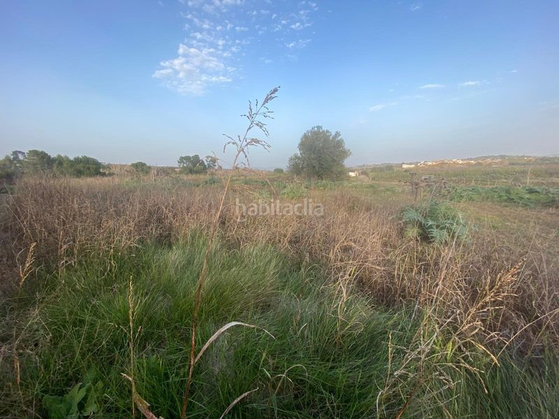 Foto ef30c4ca-1698-4e91-9813-2cfc463cece1. Terreny residencial a Albaida