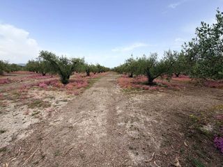 Wohngrundstück in Albaida. Venta parcela rustica en el palomarvalencia