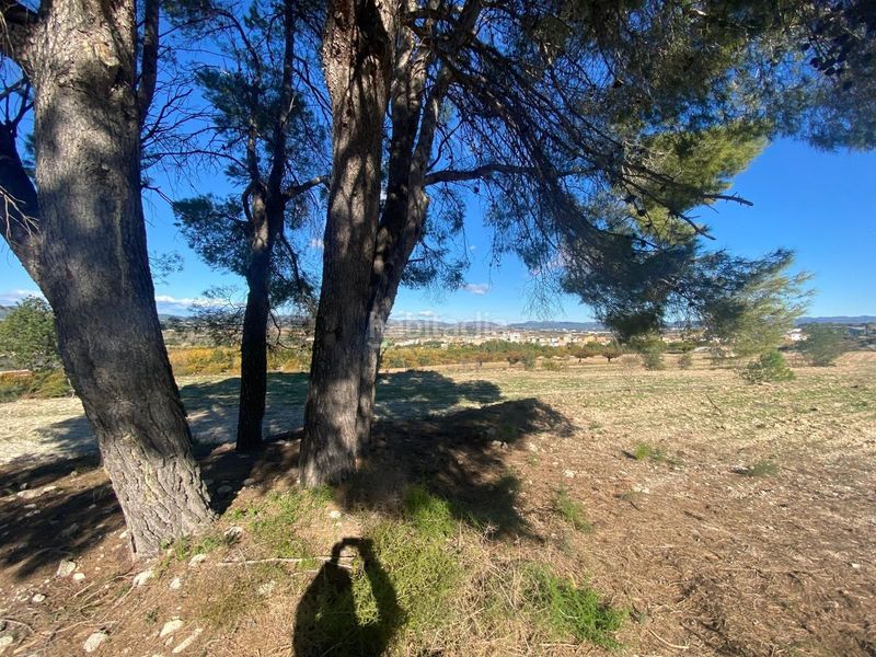 Foto 64439f9d-05b7-4dd5-8cbe-10198e288204. Finca rústica a Albaida