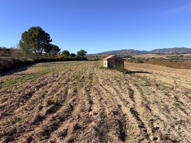 Foto 8af4ad43-cbfb-4b78-89f3-c57a0e301ce4. Finca rústica a Albaida
