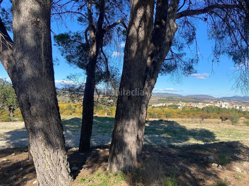 Foto cc7c7653-c9f0-4981-9c7d-69c33d38d1db. Finca rústica a Albaida