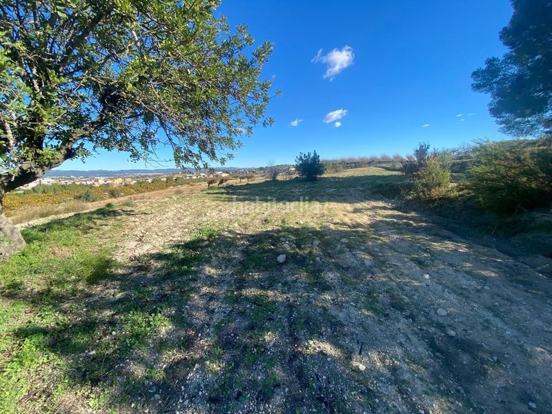 Foto e4911fa3-e3f1-4df4-a7fc-efd9e67e5948. Finca rústica a Albaida