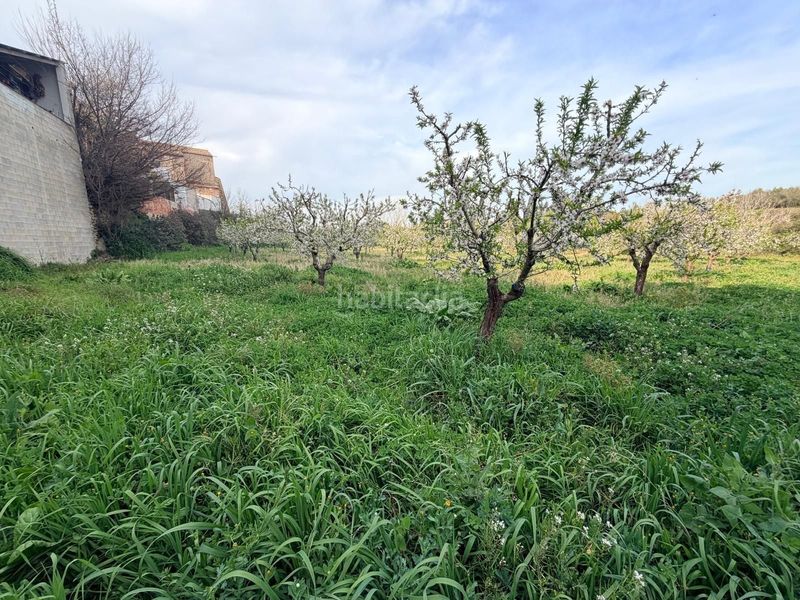 Foto 07ead526-72e7-4e26-b152-0d119404e59f. Finca rústica a Albaida