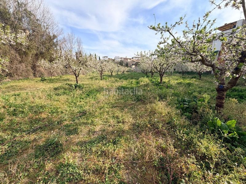 Foto 2b13e6af-fe0e-4cce-82d2-5045c7612142. Finca rústica a Albaida
