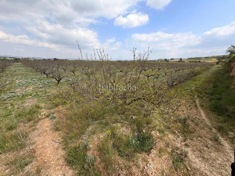 Foto f34ce02b-f5e3-4b22-bd6f-dc125d70ed1c. Finca rústica a Albaida