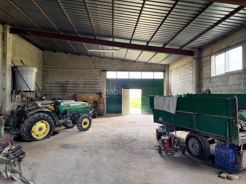 Foto ffe2eee9-3d9f-4ef8-9e7f-28d2b7194d67. Finca rústica a Albaida