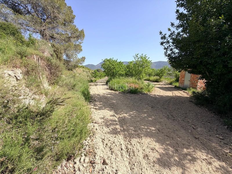 Foto 5308003e-4b23-493d-9010-692276a62d61. Finca rústica a Bèlgida