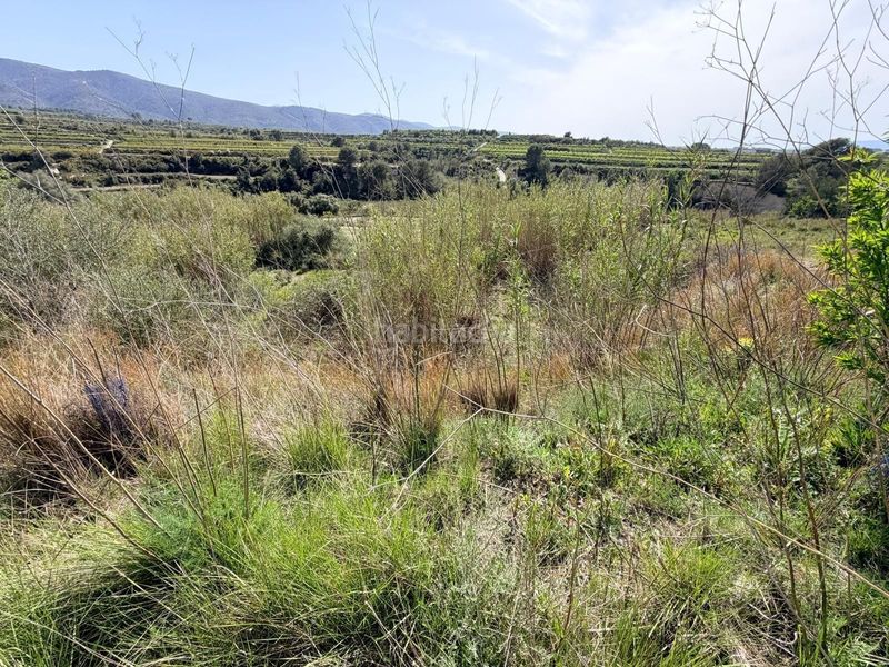 Foto 69b3df54-6709-4a92-a193-596a7c002e3c. Finca rústica a Bèlgida